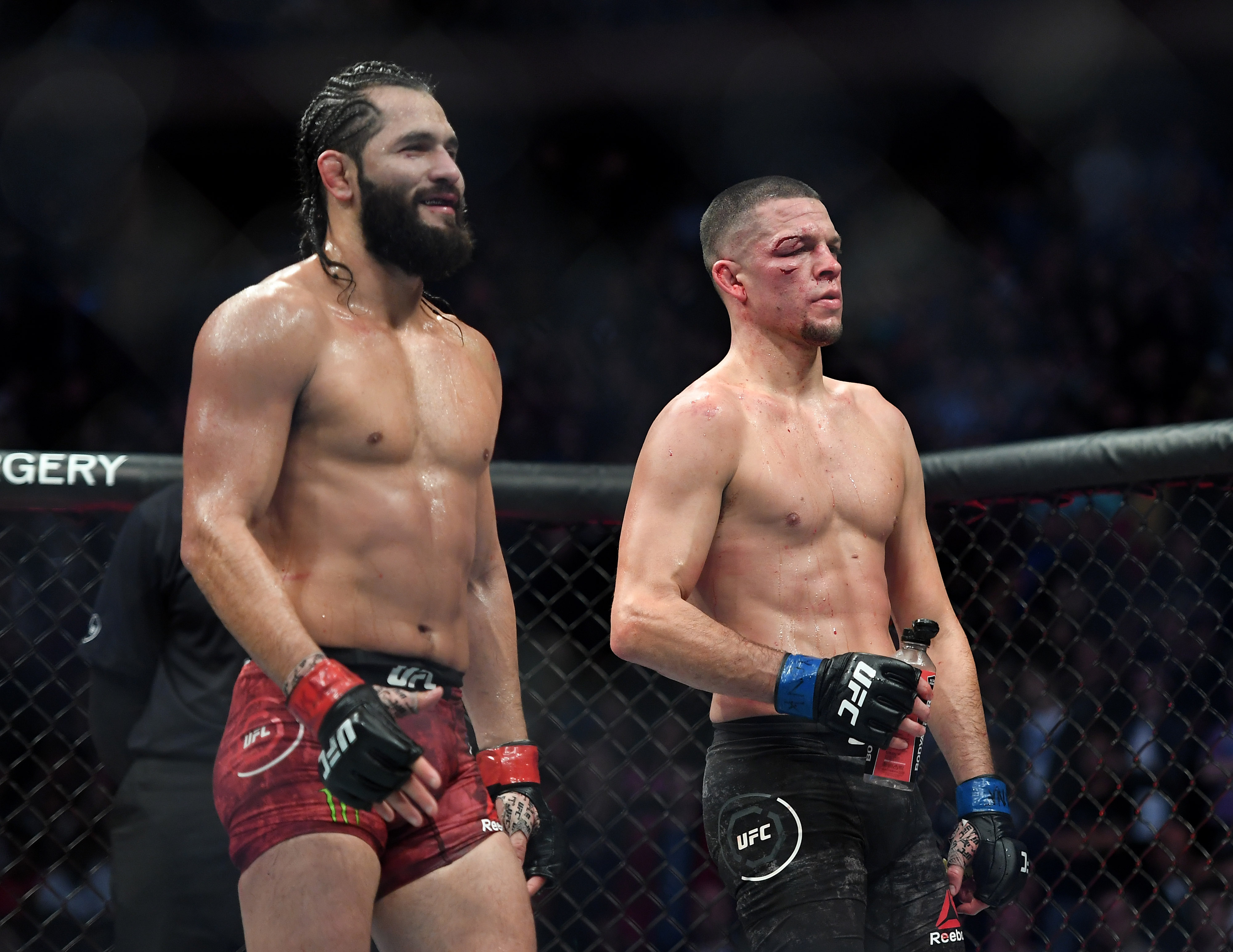 nate diaz