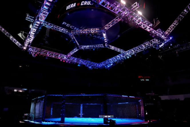 ufc apex