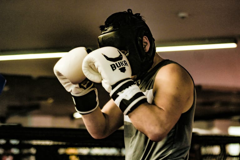 boxer; brown vs bauza