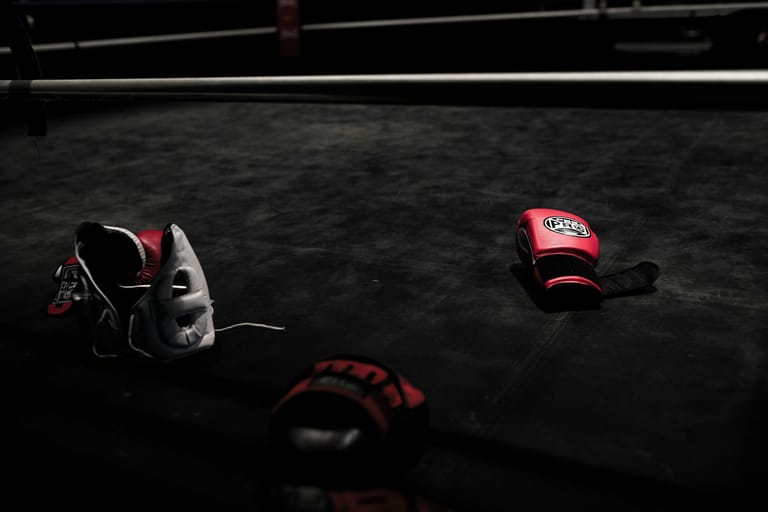 Mayweather vs Gotti III