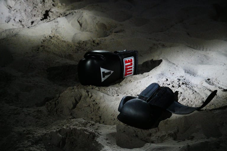 ufc fight night 247 / magny vs prates