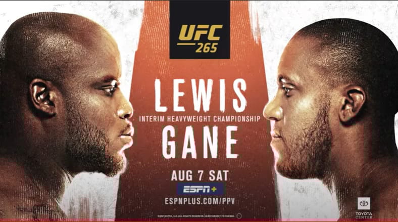 UFC 265