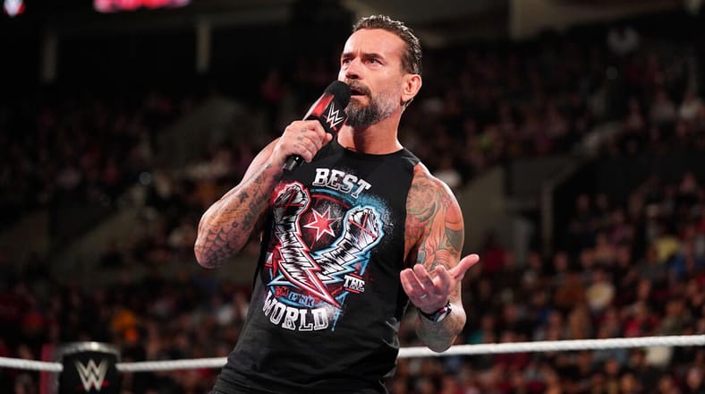 CM Punk WWE Opponents