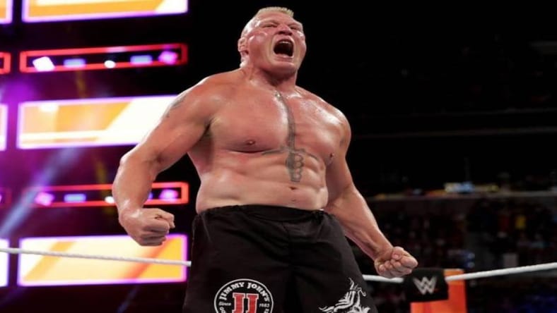 Big News On Brock Lesnar's UFC Future
