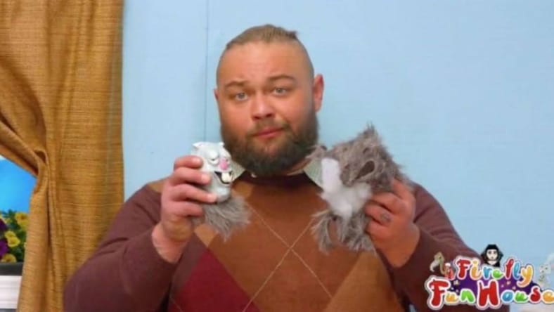 Original Plans For Bray Wyatt's TV Return