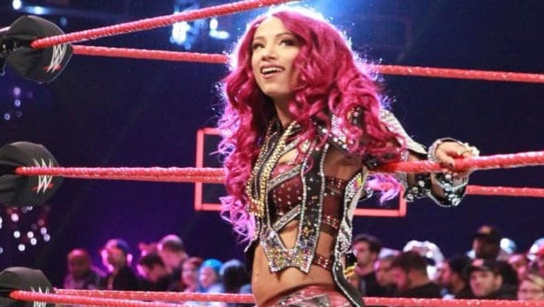 Sasha Banks & Vince McMahon Meet