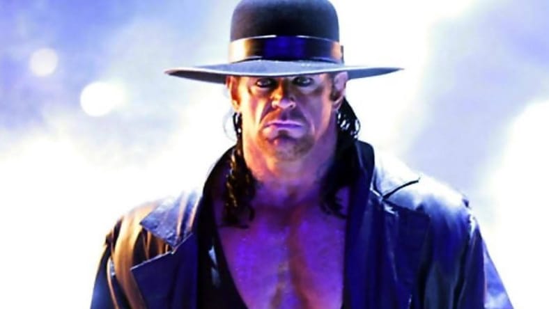 Undertaker WWE Job