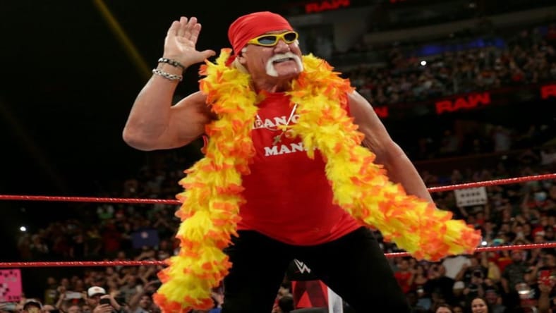 Hulk Hogan WrestleMania Match