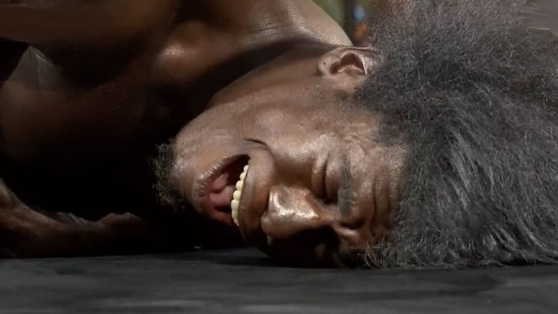 Velveteen Dream Buried WWE