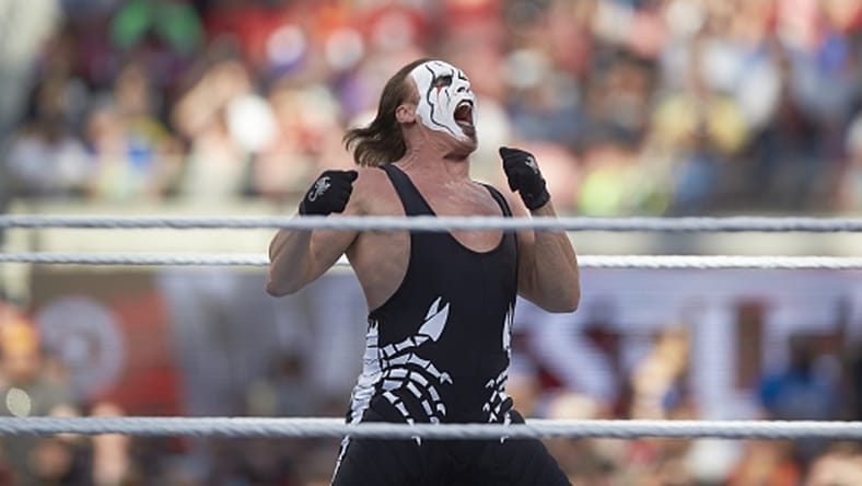 Sting Unhappy WWE Released