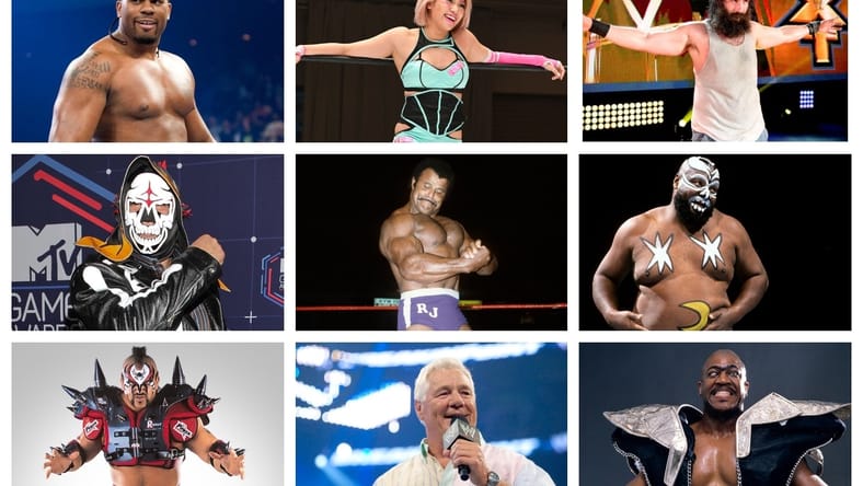 Wrestling Stars Lost 2020