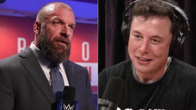 Triple H Elon Musk