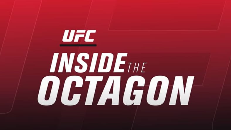 UFC 262