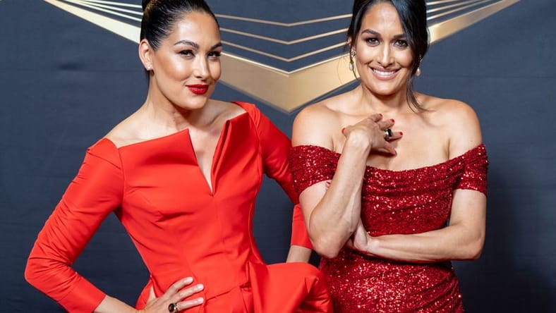 is nikki bella retired