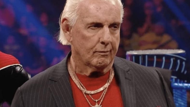 ric flair not all elite