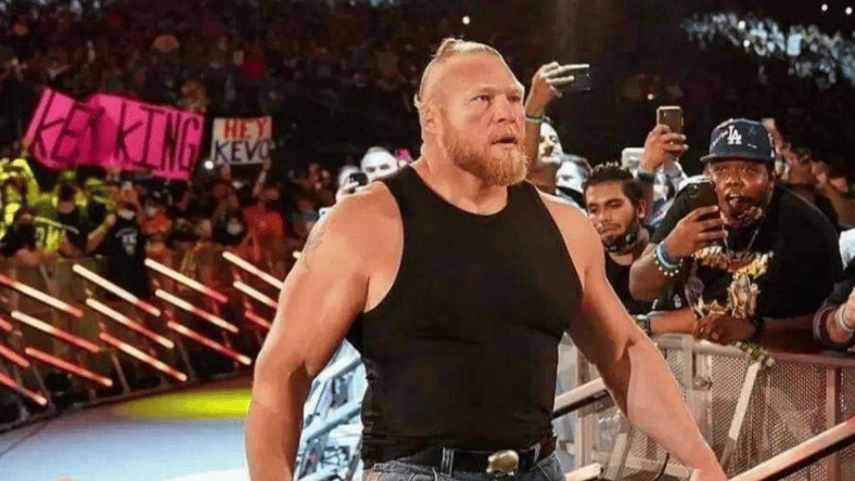 brock lesnar not wrestling