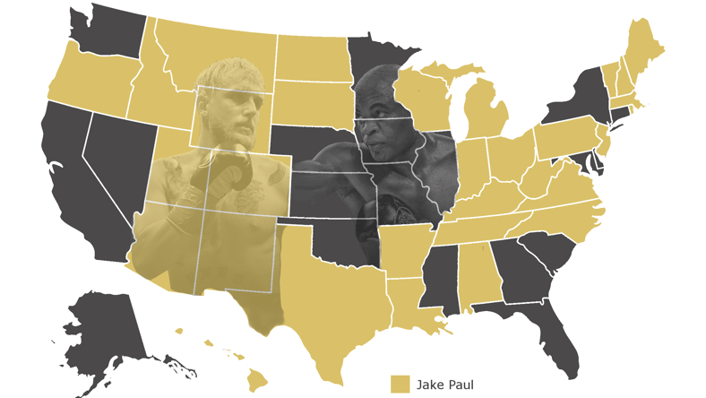 Jake Paul Anderson Silva