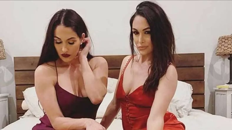 Bella Twins At WWE