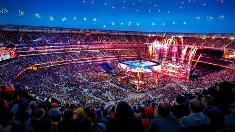 WrestleMania transit problems