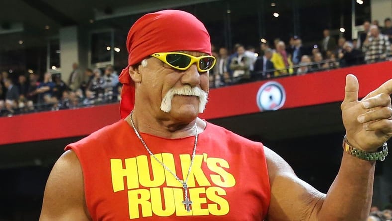 WWE Hulk Hogan
