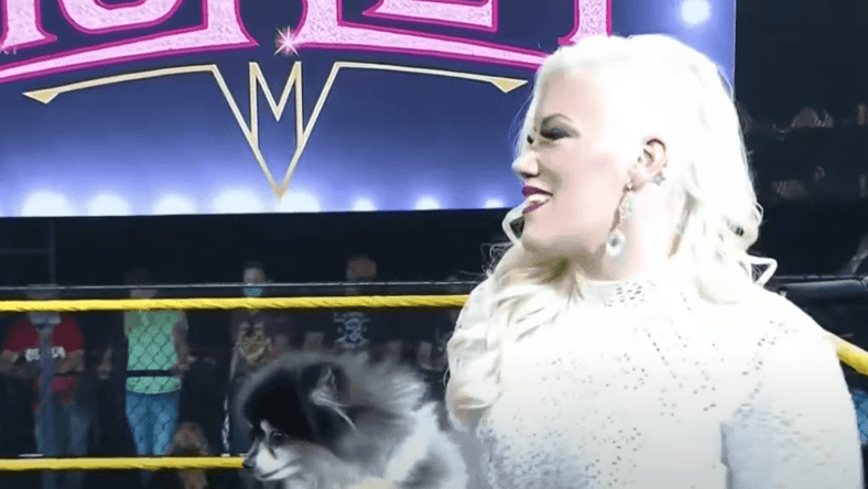 Taya Valkyrie NXT Debut Name And Character