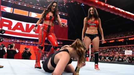 RAW In A Nutshell: Focusing On Crown Jewel and Evolution