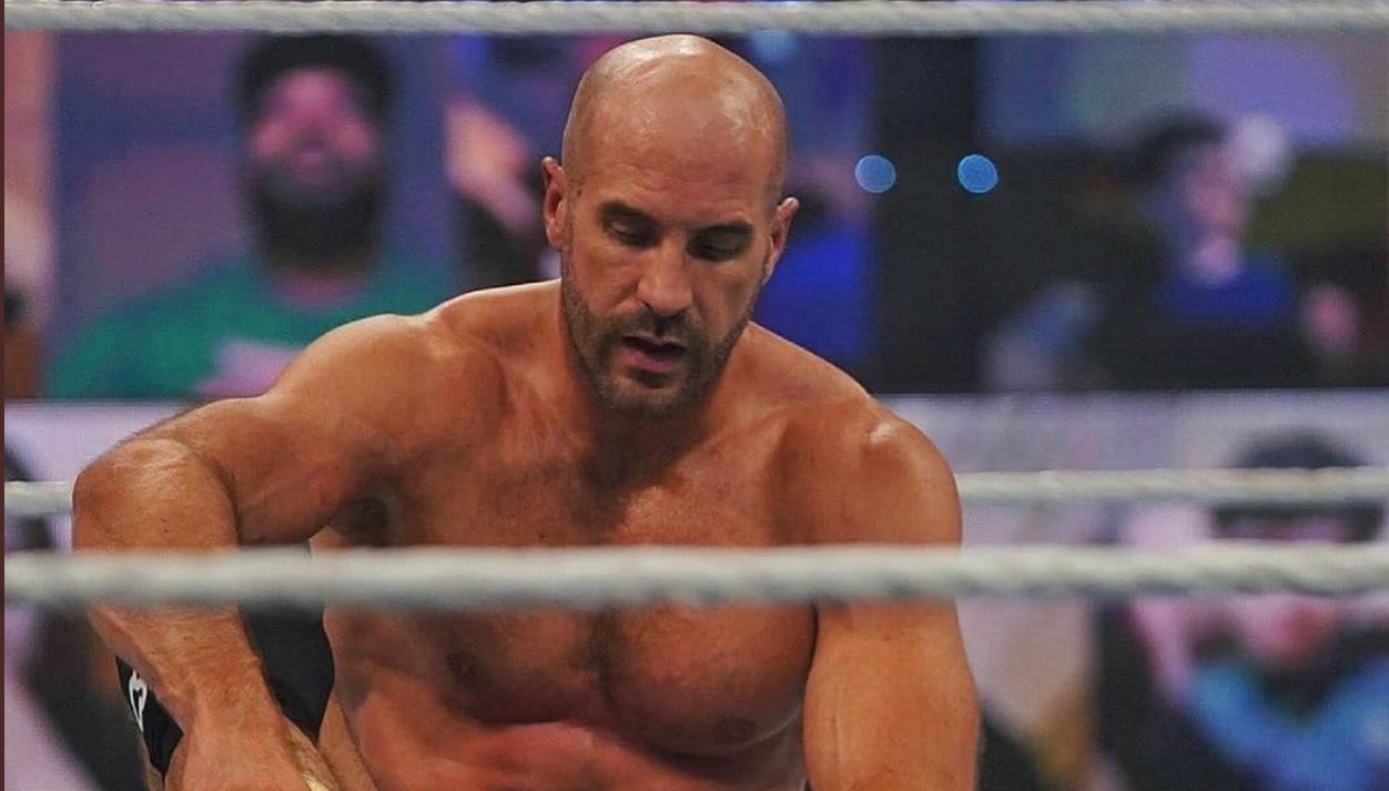 whats next for cesaro
