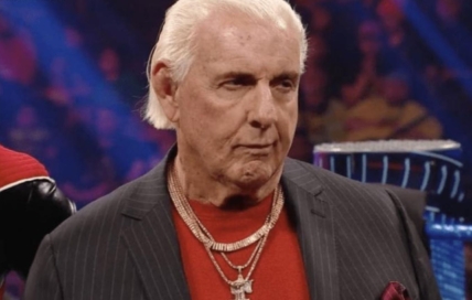 ric flair not all elite