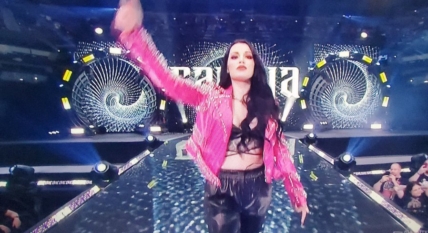 WWE Wanted Paige Back