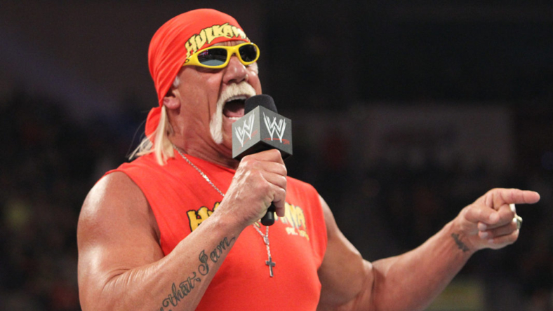 Wild Hulk Hogan Rumor