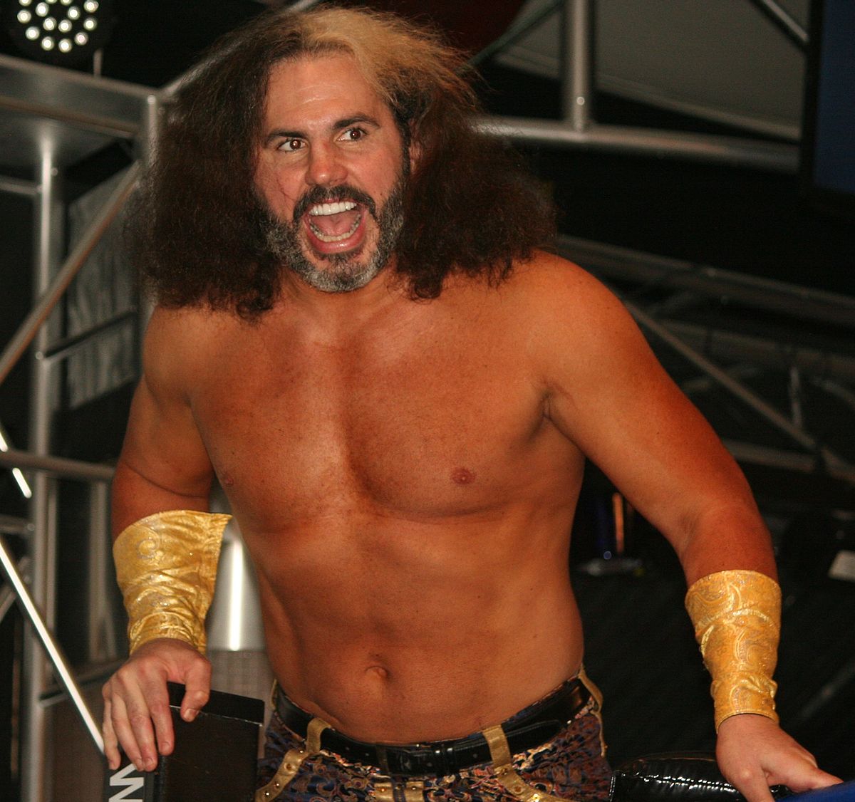 Image result for Matt Hardy