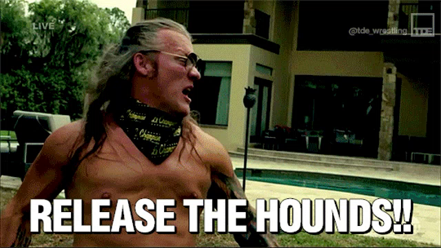 Chris Jericho (Le Champion) release the hounds