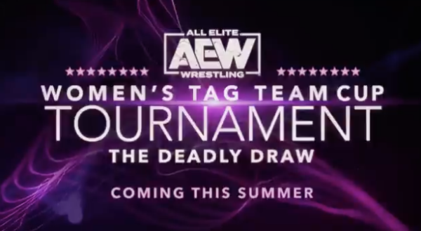 AEW women's tag team division