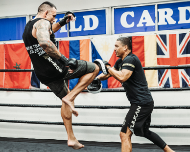 Fabricio Werdum