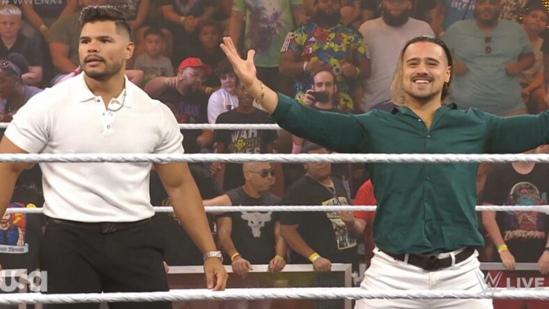 WWE has big plans for NXT tag team.