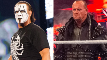 Sting Undertaker Vince McMahon