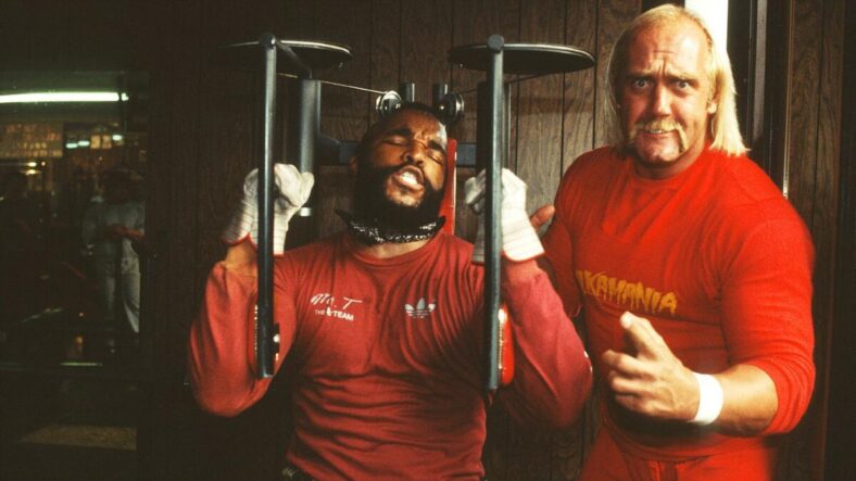 hulk hogan