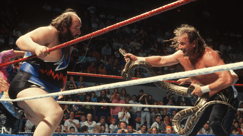 wwe legends