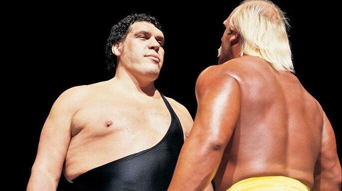 hulk hogan