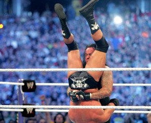 the undertaker