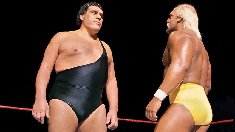 hulk hogan